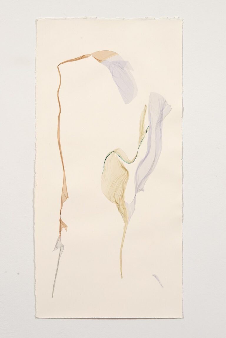 Beatrice Pediconi, Davide E Golia, 2024, Polaroid Emulsion On Watercolor Paper. Ph. Dario Lasagni, Courtesy Artista & z2o Sara Zanin