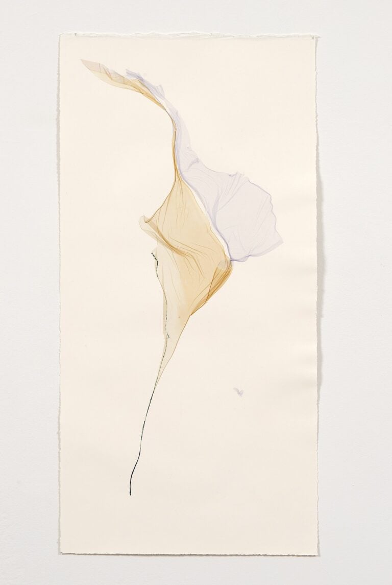 Beatrice Pediconi, Ercole, 2024, Polaroid Emulsion On Watercolor Paper. Ph. Dario Lasagni, Courtesy Artista & z2o Sara Zanin