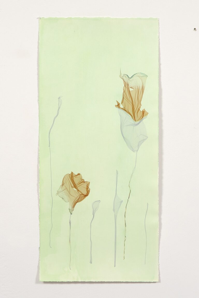 Beatrice Pediconi, Giardino d'Inverno, 2024, Polaroid Emulsion On Watercolor Paper. Ph. Dario Lasagni, Courtesy Artista & z2o Sara Zanin
