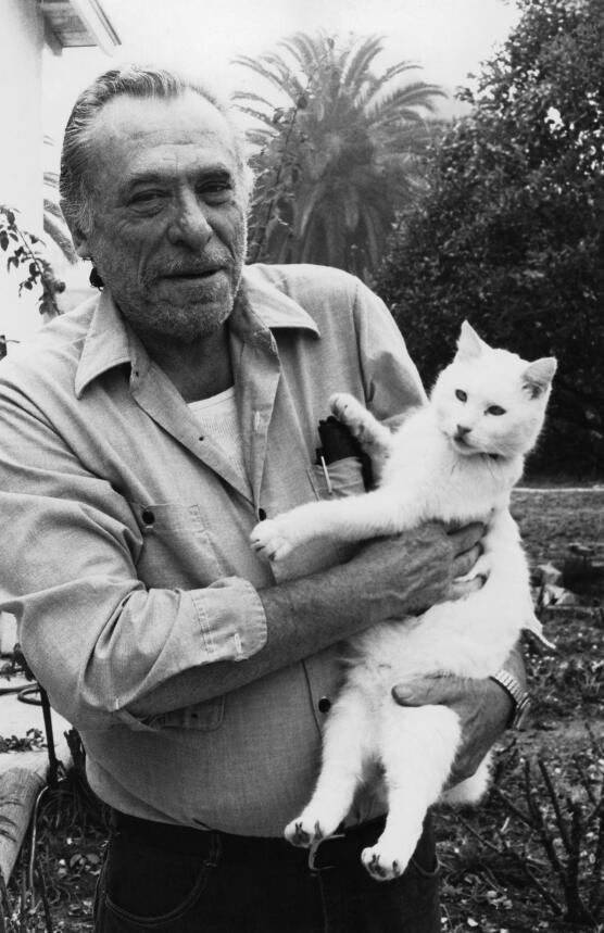 Bukowski con uno dei suoi amati gatti. Picture Alliance, Lars Wynter, Keystone, Dpa, Photononstop