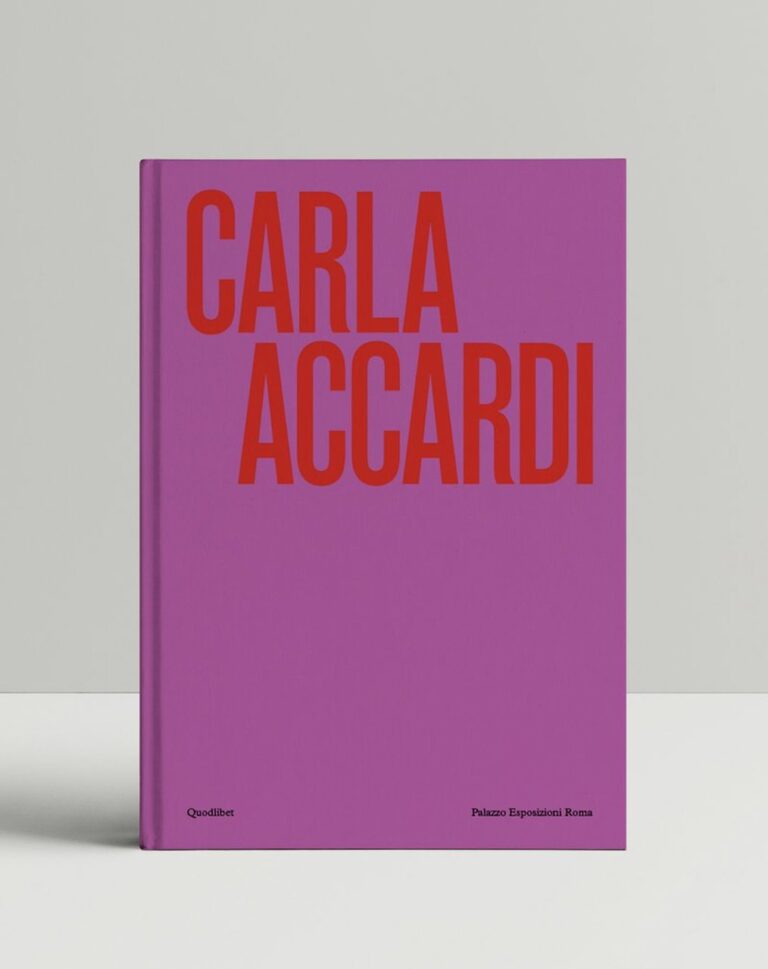 Carla Accardi a cura di Daniela Lancioni e Paola Bonani, copertina libro