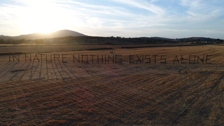 Claudia Comte, In Nature Nothing Exists Alone. Courtesy the artists and Hypermaremma