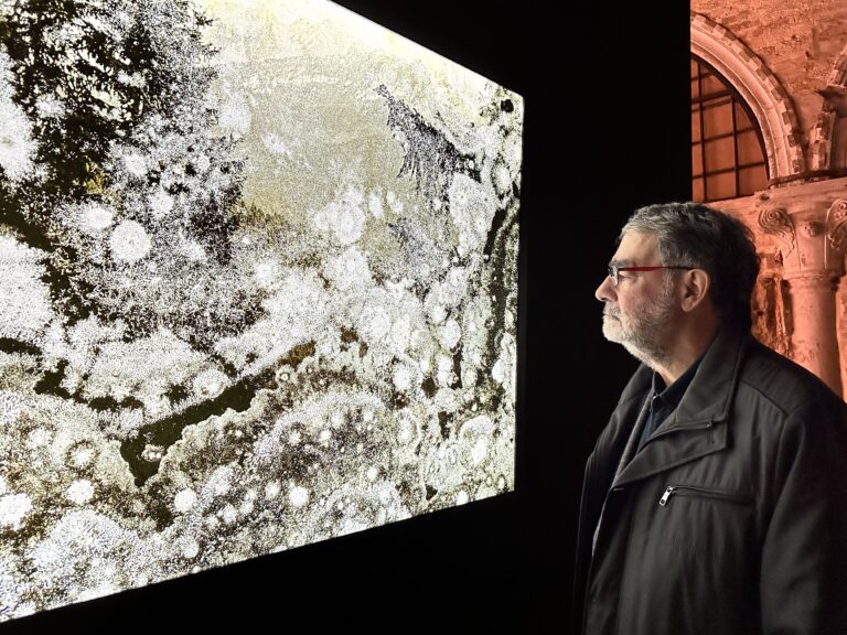 Joan Fontcuberta, Cultura di polvere, installation view at Museo Fortuny, Venezia, 2024