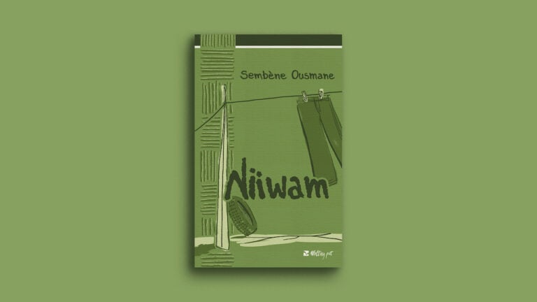 Niiwam, copertina libro