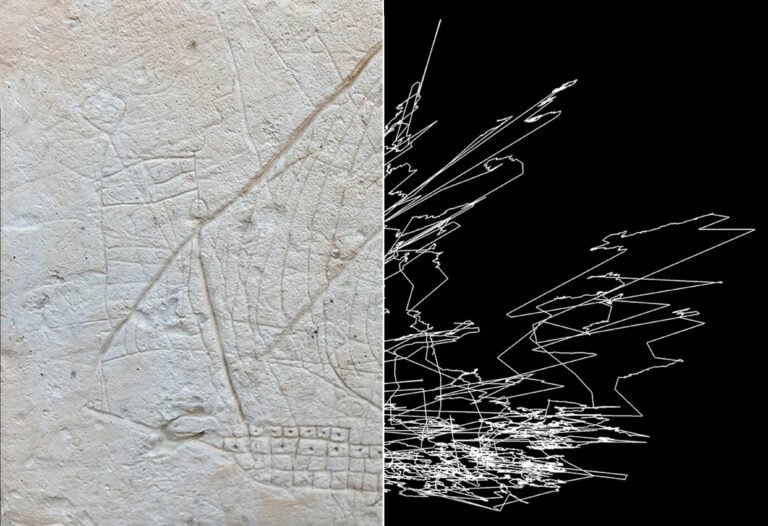 Uno storico graffito maltese della Cappella della Visitazione a Wied Qirda Żebbug accostato all’opera di Matthew Attard, Eye-tracking drawing a ship graffiti, 2021. Photo Elyse Ton