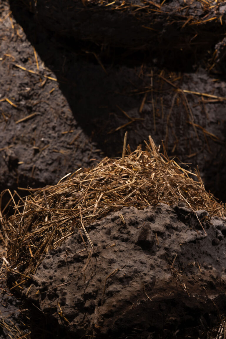 Augustas Serapinas, Baltic Adventure, installation view at Forof, Roma, 2024. Photo Monkeys Video Lab