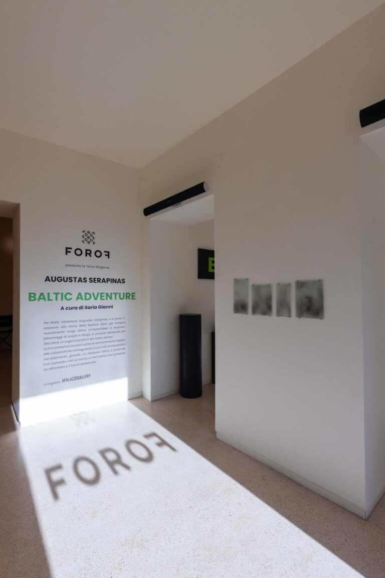 Augustas Serapinas, Baltic Adventure, installation view at Forof, Roma, 2024. Photo Monkeys Video Lab