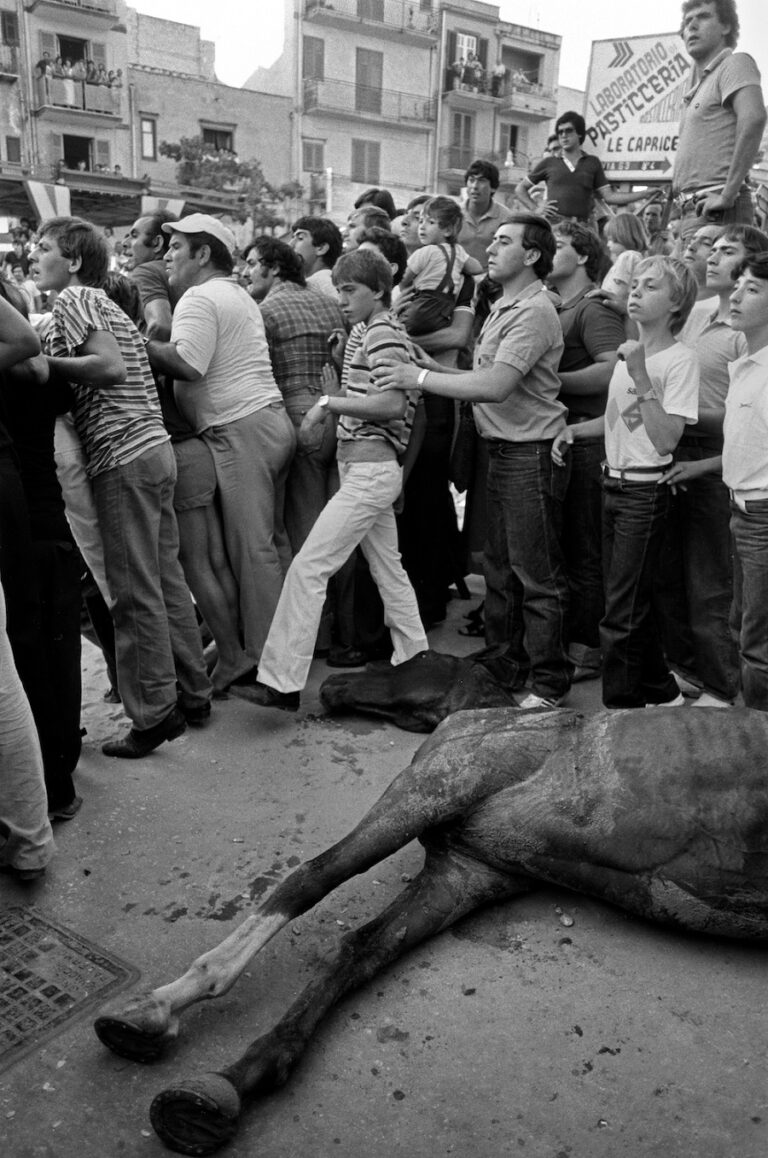 Celebrazione di San Giusto. Il cavallo si è rotto la gamba durante la corsa, sarà abbattuto in giornata. Intanto la corsa continua. Misilmeri, 1981 ©Archivio Letizia Battaglia