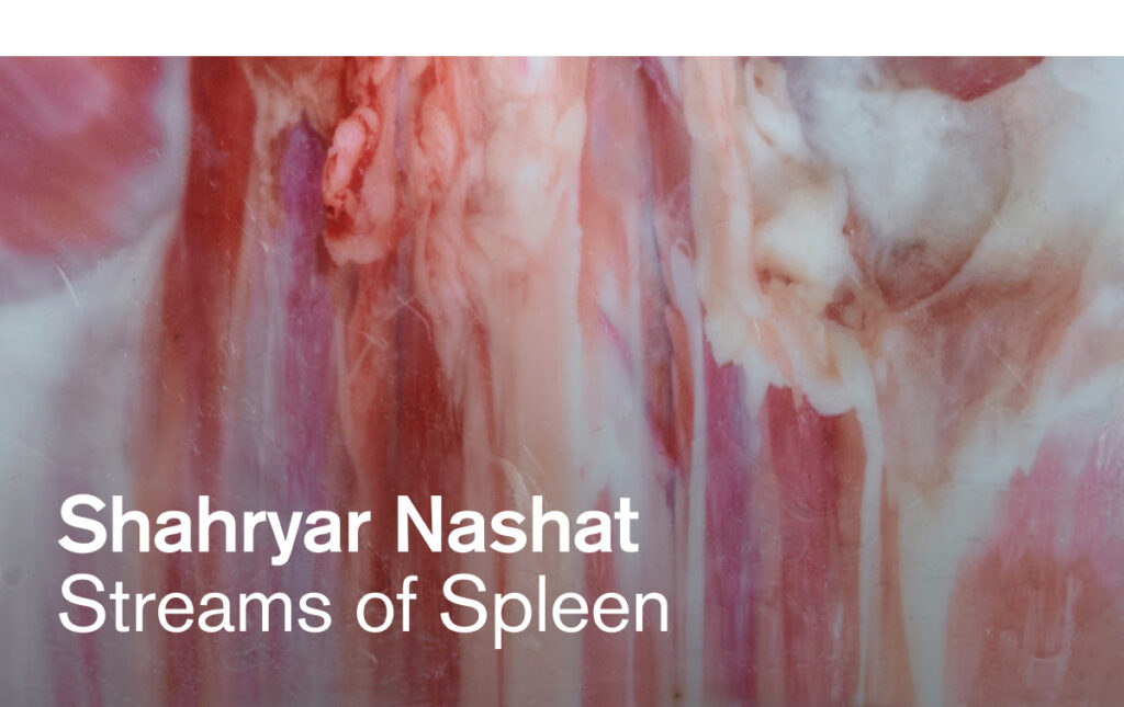 Shahryar Nashat – Streams of Spleen