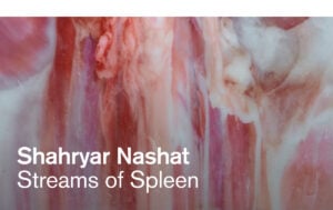 Shahryar Nashat - Streams of Spleen