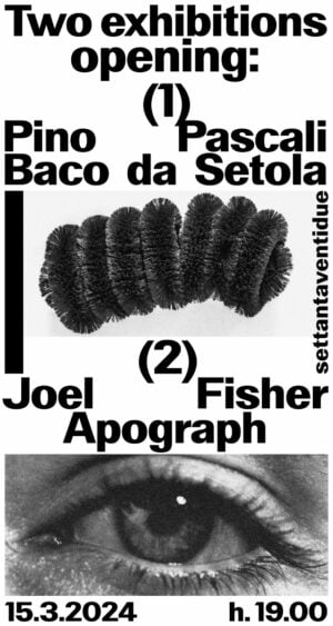 Pino Pascali / Joel Fisher