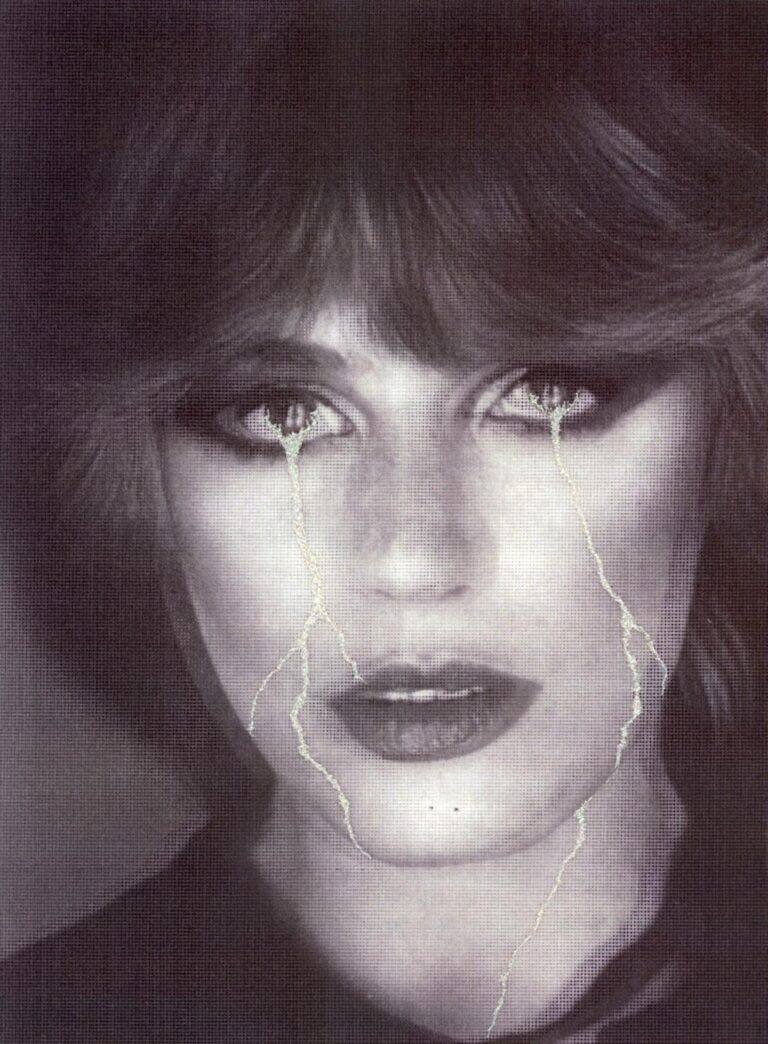 Francesco Vezzoli, Comizi di non amore - The prequel (Contestant n.3: Marianne Faithfull), 2004 stampa fotografica in bianco e nero e ricamo su tela, 61×51.5 cm