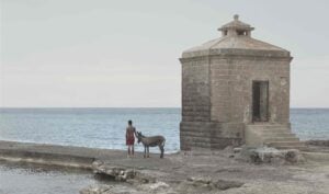 Marcello Moscara - Asini Dotti. In cammino lungo la Via Francigena