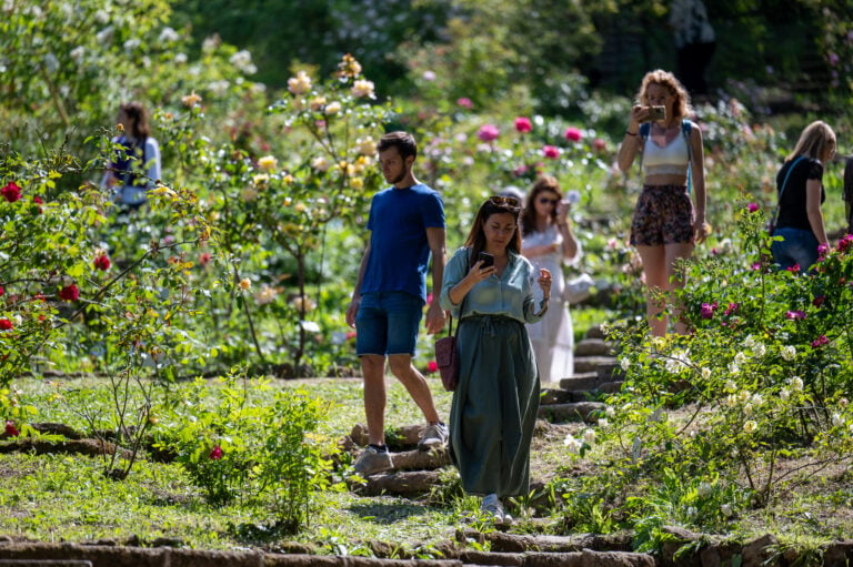 a236731 All’Orto Botanico di Roma festa di primavera sulle tracce di Marco Polo. Con visita alla Biblioteca storica