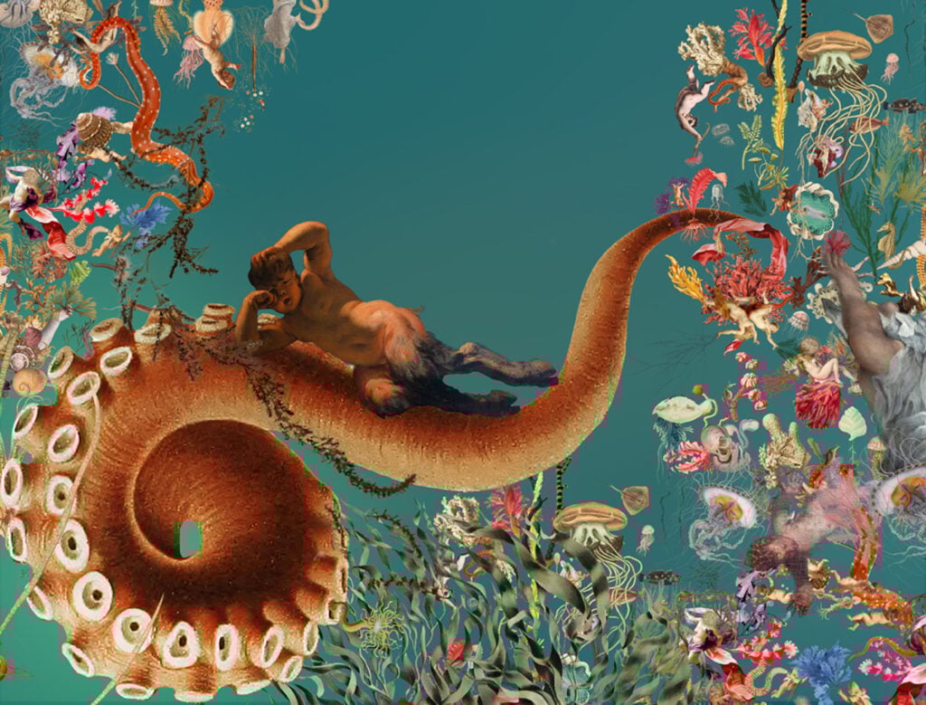 Austin Young, Fallen fruit marriage of the sea, sketch