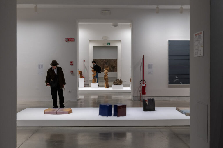 biennale 2024 ph irene fanizza 14 “Stranieri Ovunque”: una mostra senza grandi sorprese alla Biennale d’Arte di Venezia 2024