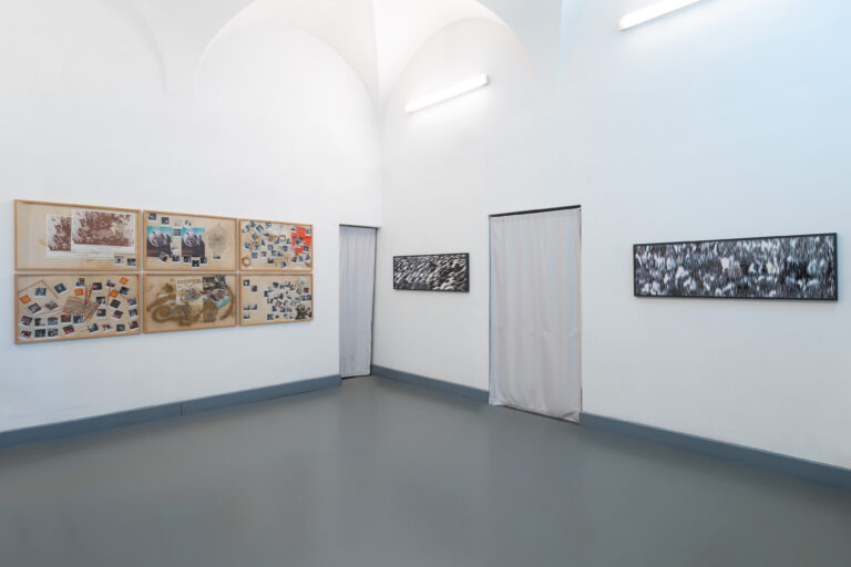 Blind Spot, installation view at Gallerie d'Italia, Napoli, 2024. Courtesy Fondazione Paul Thorel