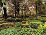 bosco della ragnaia Vicino a Siena c'è un bosco meditativo pieno di opere d'arte in costruzione da 30 anni
