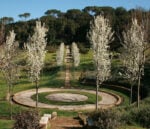 bosco della ragnaia foto stefano baroni frances lansing laurent kalfala 3 Vicino a Siena c'è un bosco meditativo pieno di opere d'arte in costruzione da 30 anni