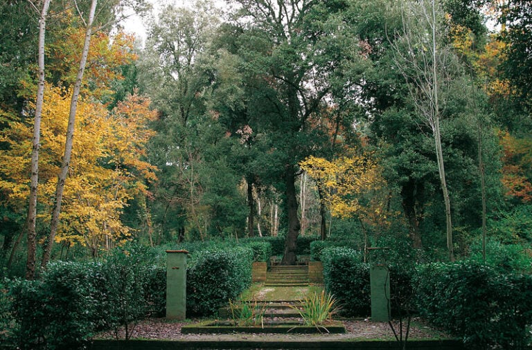 bosco della ragnaia foto stefano baroni frances lansing laurent kalfala 7 Vicino a Siena c'è un bosco meditativo pieno di opere d'arte in costruzione da 30 anni