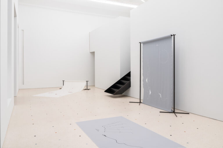 Elena Mazzi, Epimeleia, installation view at Artopia Gallery, Milano, 2024. Courtesy Artopia Gallery and the artist. Photo Matteo Pasin