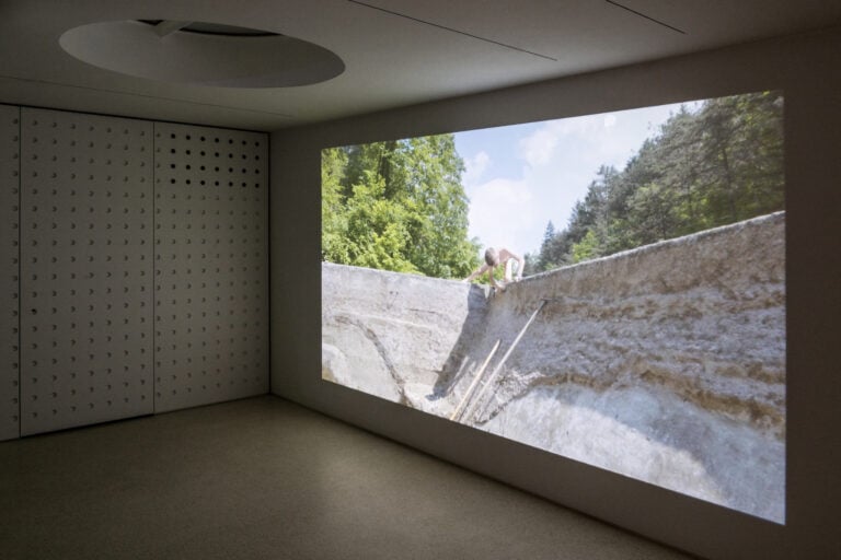 Elena Mazzi, Epimeleia, installation view at Artopia Gallery, Milano, 2024. Courtesy Artopia Gallery and the artist. Photo Matteo Pasin
