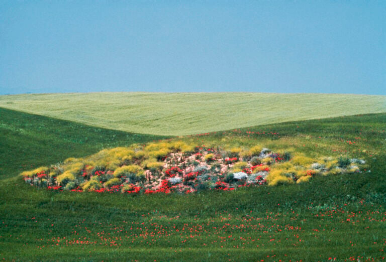 Franco Fontana, Basilicata, 1975 © Franco Fontana