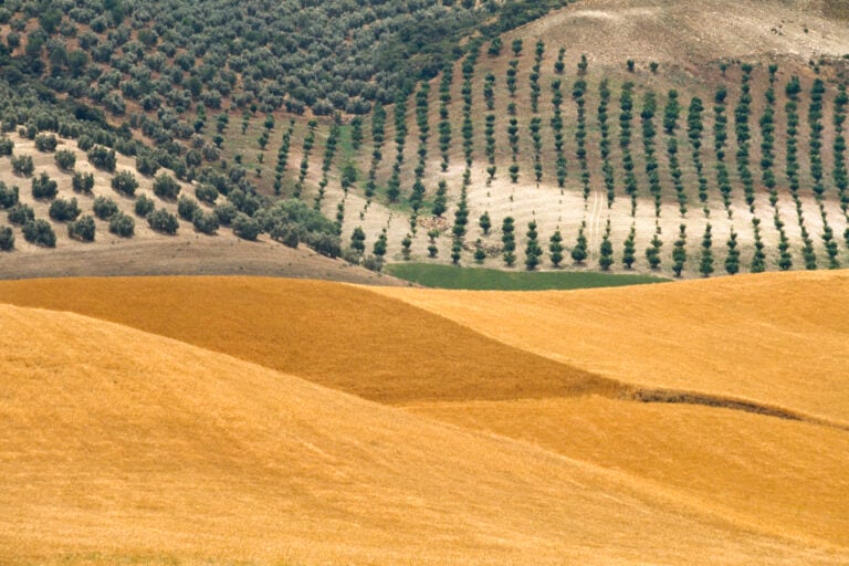 Franco Fontana, Spagna, 1985 © Franco Fontana