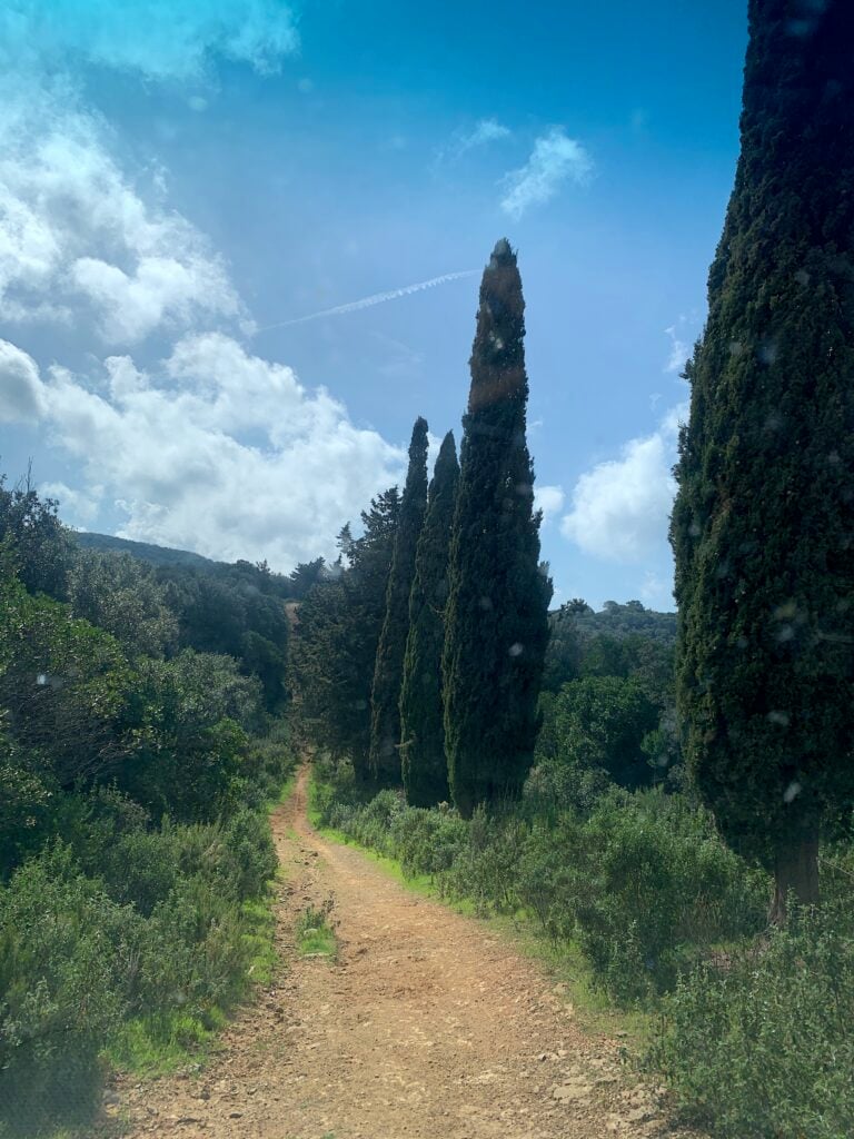 Paesaggi della Maremma. Photo Claudia Zanfi