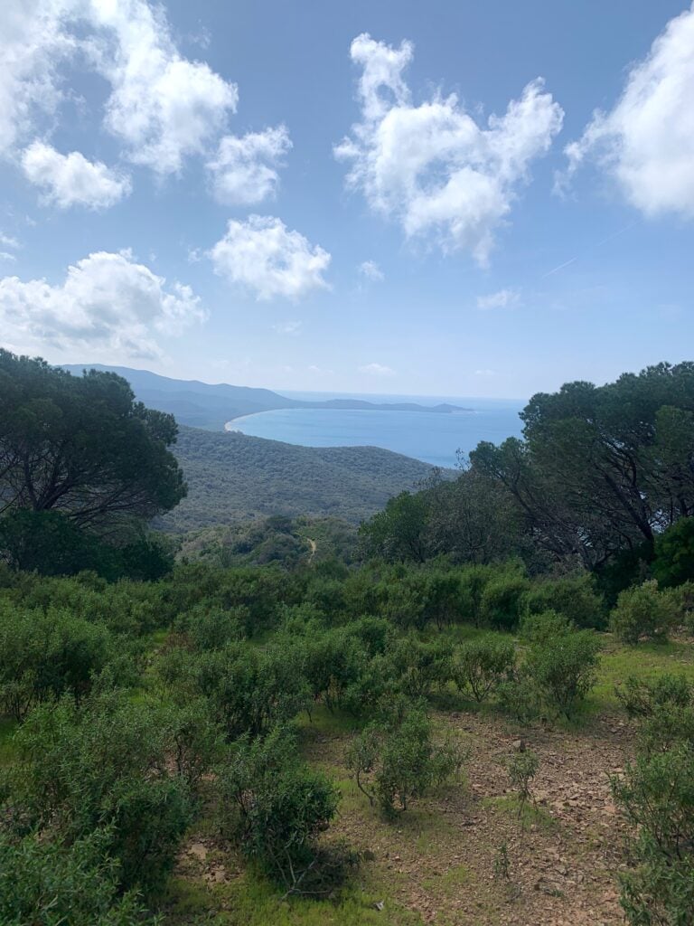 Paesaggi della Maremma. Photo Claudia Zanfi