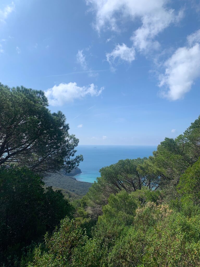 Paesaggi della Maremma. Photo Claudia Zanfi