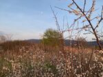 Paesaggi della Maremma. Photo Claudia Zanfi