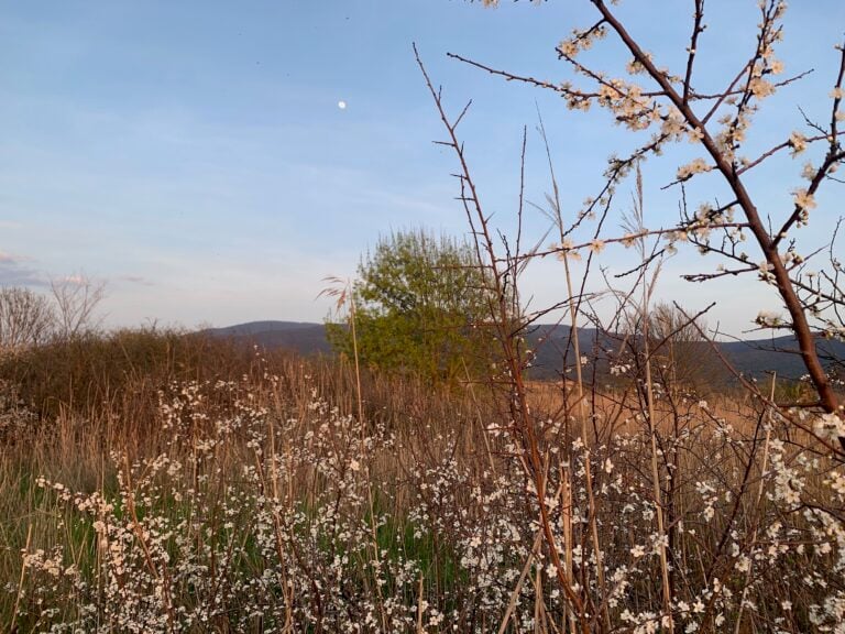 Paesaggi della Maremma. Photo Claudia Zanfi