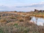 Paesaggi della Maremma. Photo Claudia Zanfi