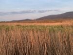 Paesaggi della Maremma. Photo Claudia Zanfi