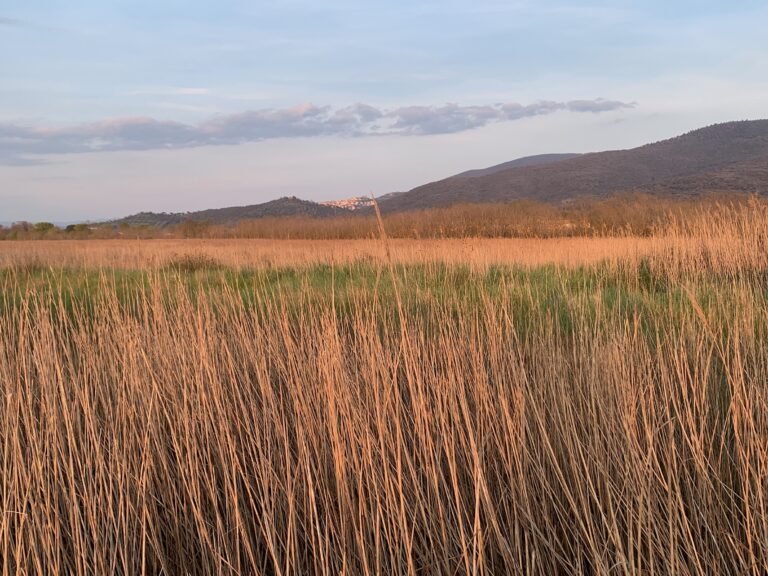 Paesaggi della Maremma. Photo Claudia Zanfi