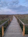 Paesaggi della Maremma. Photo Claudia Zanfi