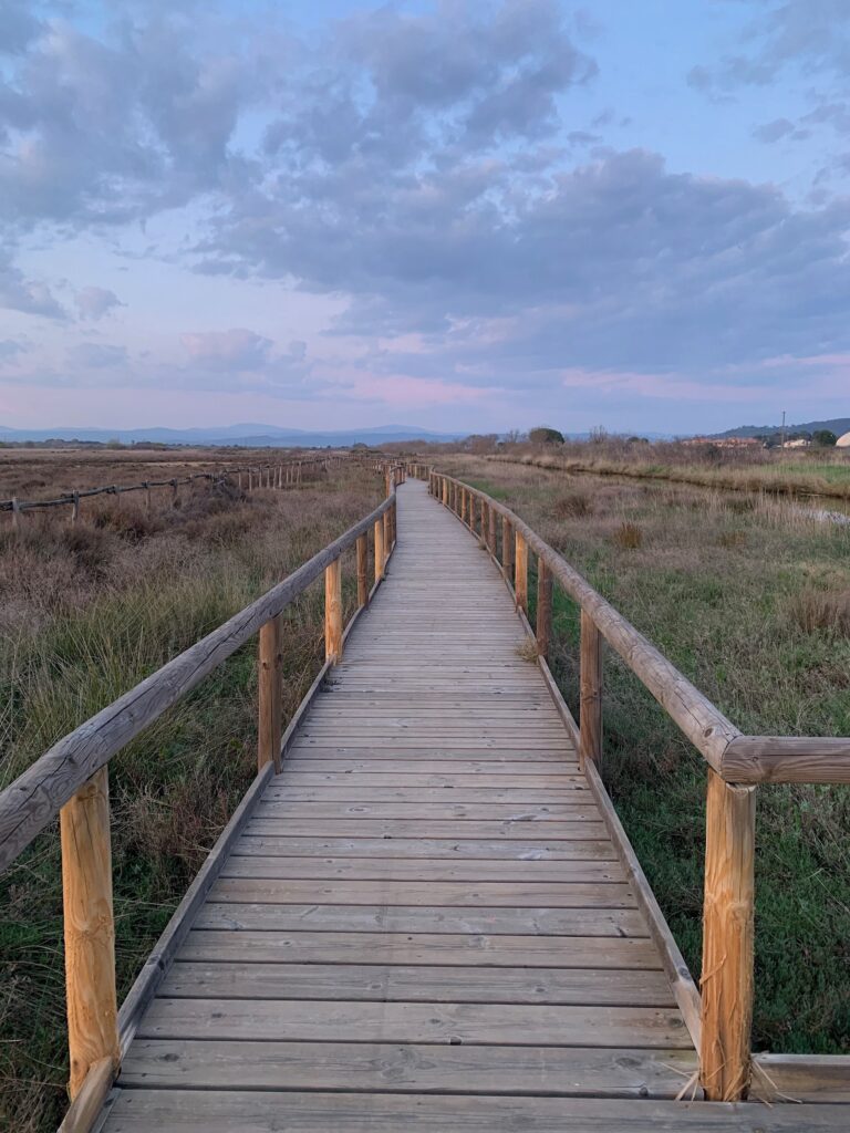 Paesaggi della Maremma. Photo Claudia Zanfi