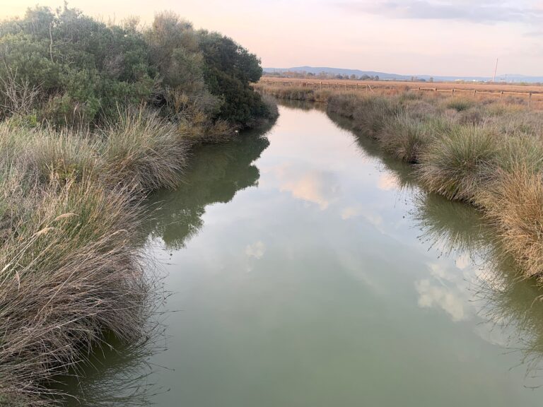 paesaggi maremma photo claudia zanfi I paesaggi della Maremma. Il Parco di Scarlino, le Padule e il Puntone 