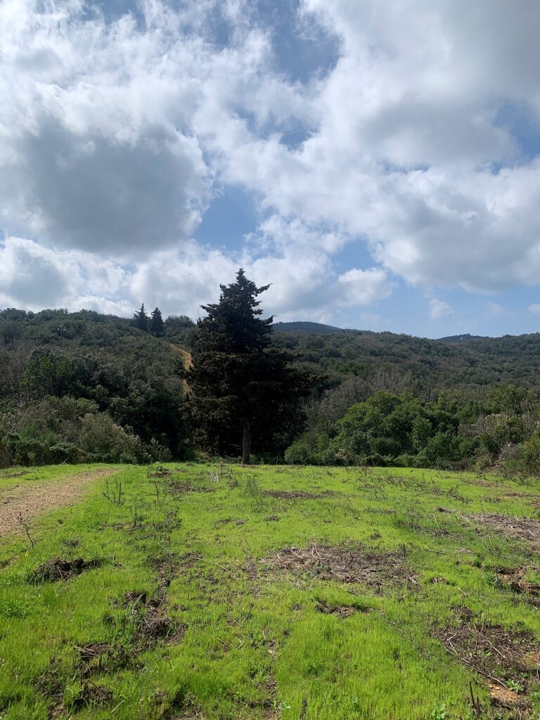 Paesaggi della Maremma. Photo Claudia Zanfi