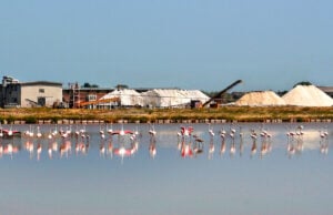 Cervia vuole diventare museo del sale a cielo aperto. Arrivano 6 milioni per il progetto