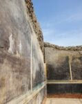 salone nero regio ix 5 Nuove sorprese a Pompei, emerge un salone decorato con soggetti dalla Guerra di Troia