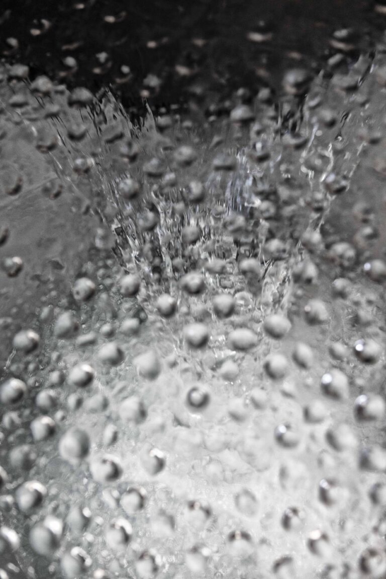 Acqua – Liquida bellezza di Silvano Pupella