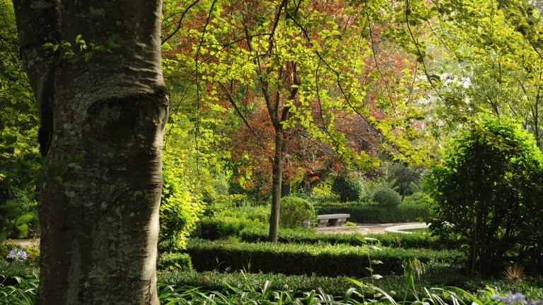 Una veduta del Giardino Botanico