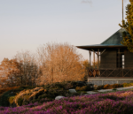 Uno scorcio del Giardino Botanico di Mount Tomah