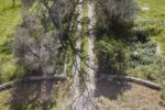Fondazione Lac o Le Mon, San Cesario di Lecce