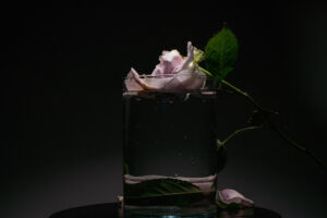 Sabrina Cirillo - In-Anima