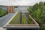 dsc5853 bamsphotocredits bams A Milano si inaugura il Parco della Luce: con tre grandi opere d’arte pubblica
