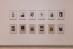 Expodemic, Palazzo delle Esposizioni, exhibition view, 2024. Photo Monkeys Video Lab