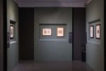 Filippo e Filippino Lippi, installation view at Musei Capitolini, 2024. Photo Monkeys Video Lab